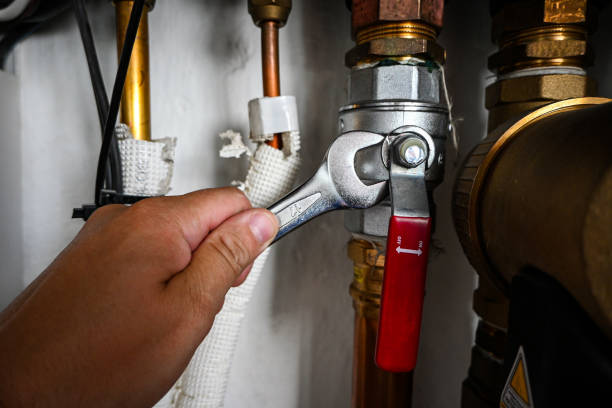 Best Shower Repair Services  in Clisle, AR
